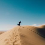 holly-mandarich-duq_b5-unhw-unsplash