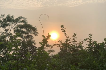 IMG_1451